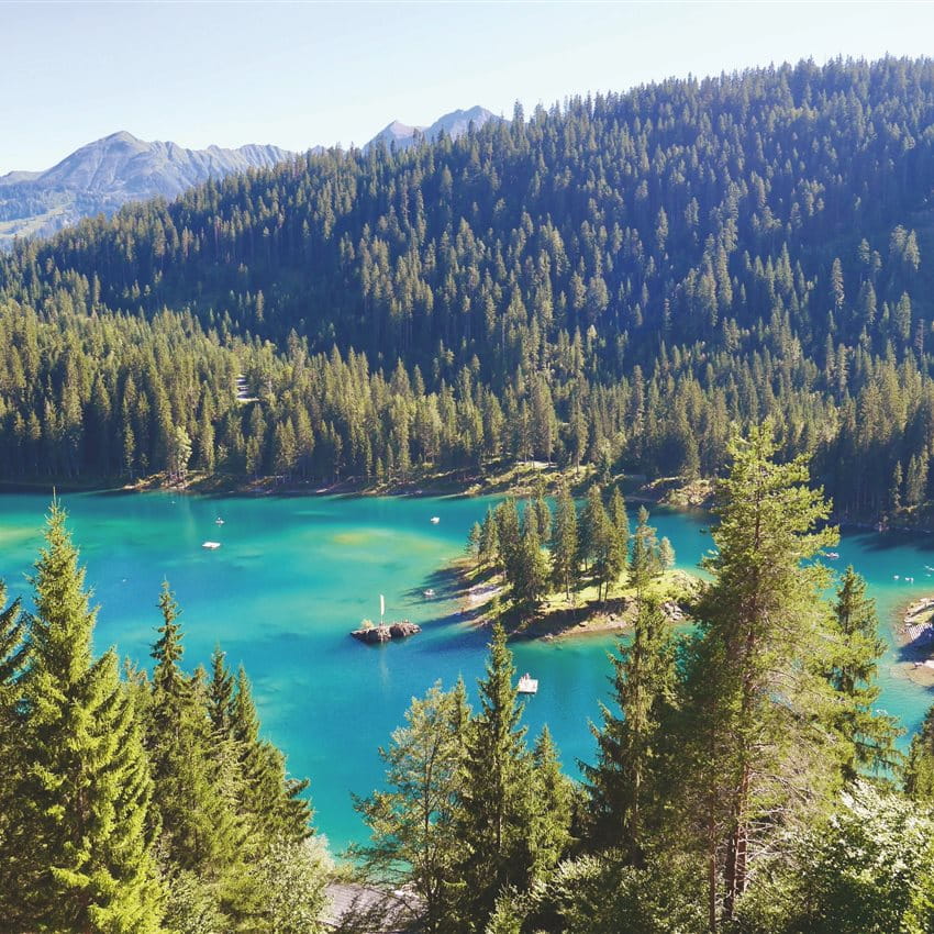 Lac de montagne entouré de forêt
