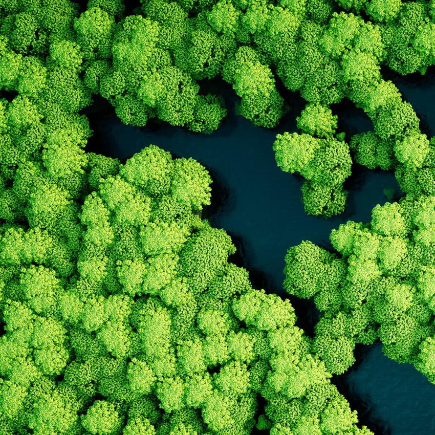 Landscape with green trees from above