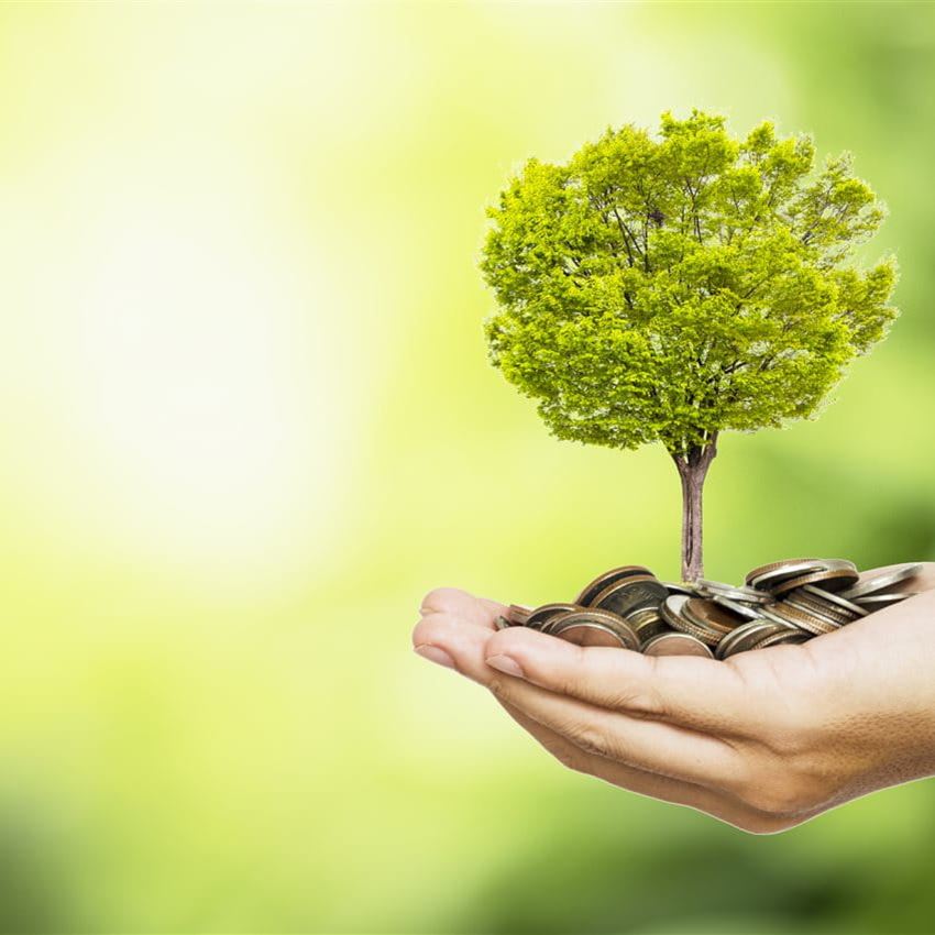 One hand holds a small tree and coins