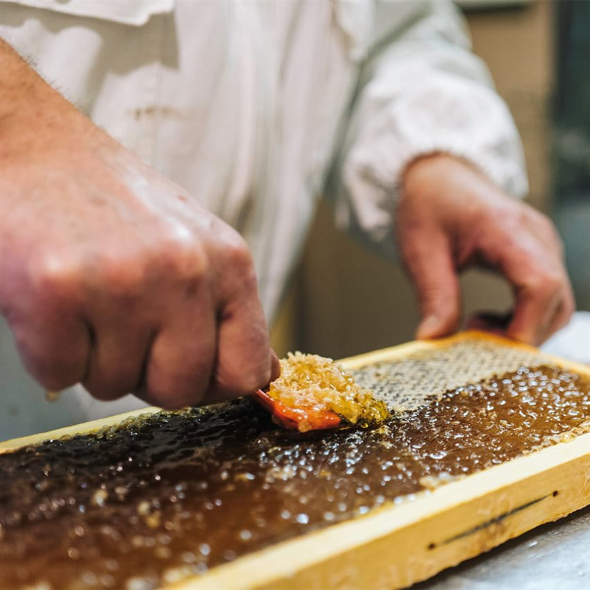 A beekeeper removes honeycombs.