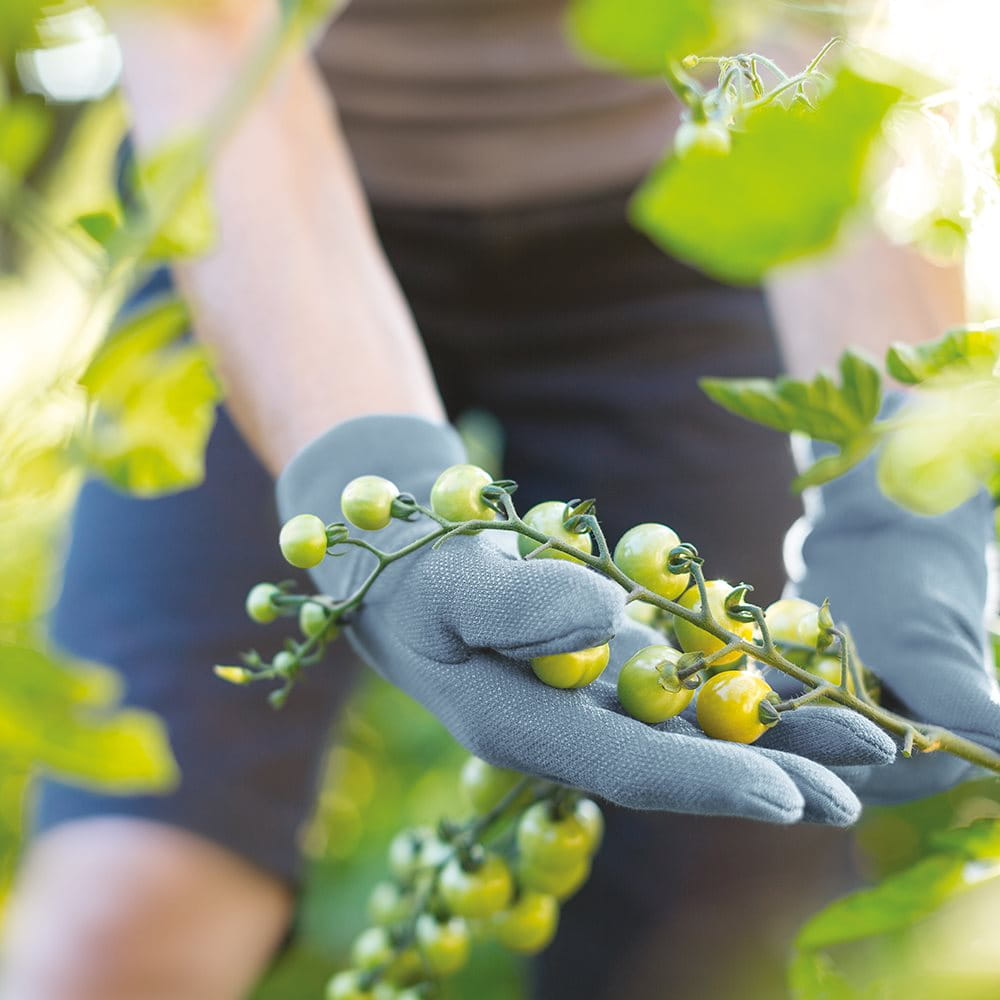 to Zurich Pension I Data protection Zurich Switzerland