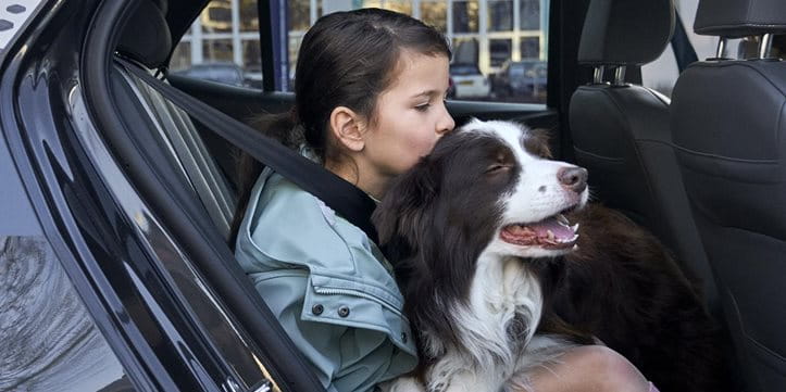 Une fille câline un chien dans la voiture