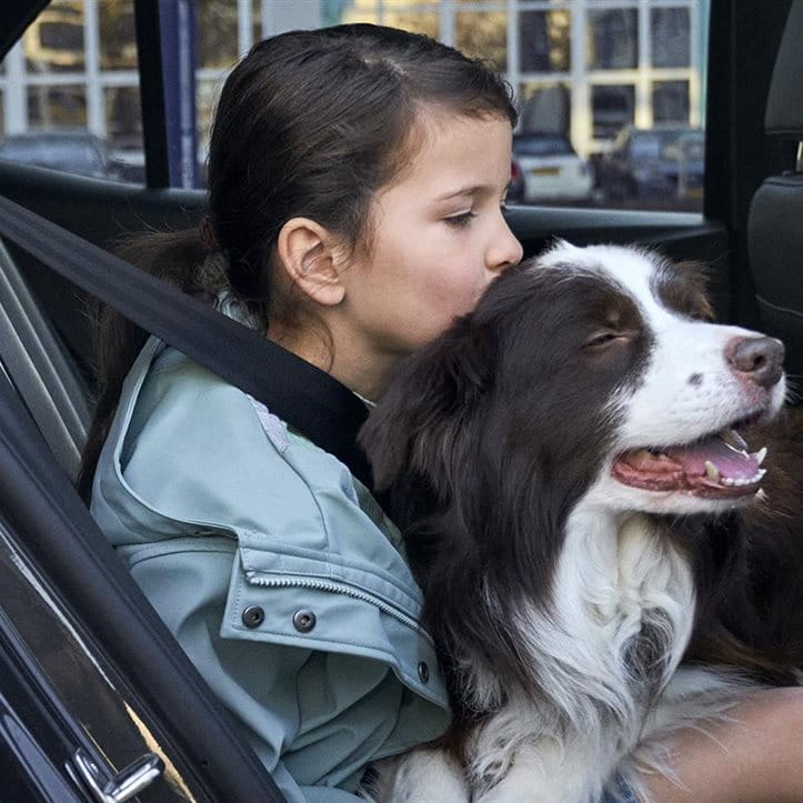 Maedchen kuschelt einen Hund im Auto