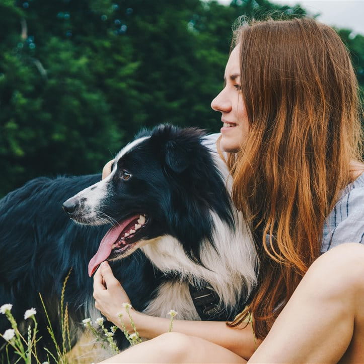 Young woman playing with a Border Collie dog in the park
