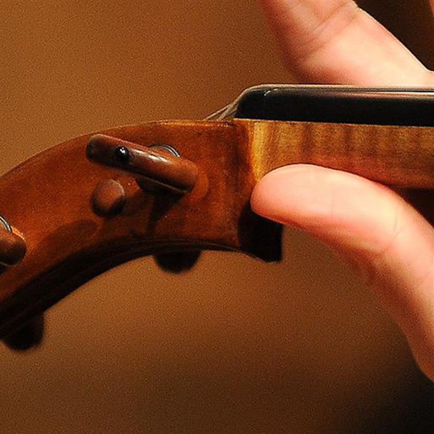 A man's hand holding the neck of a violin