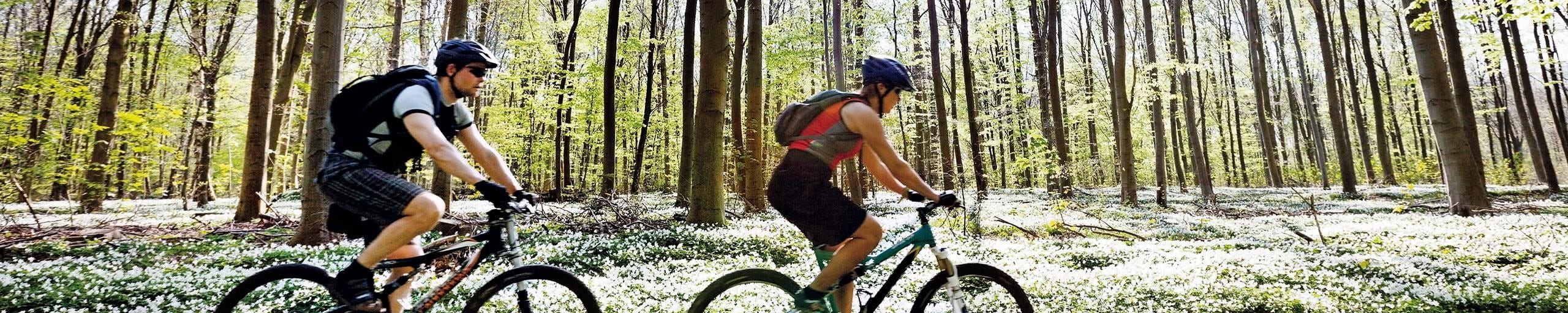 Due persone attraversano un bosco con la mountain bike.