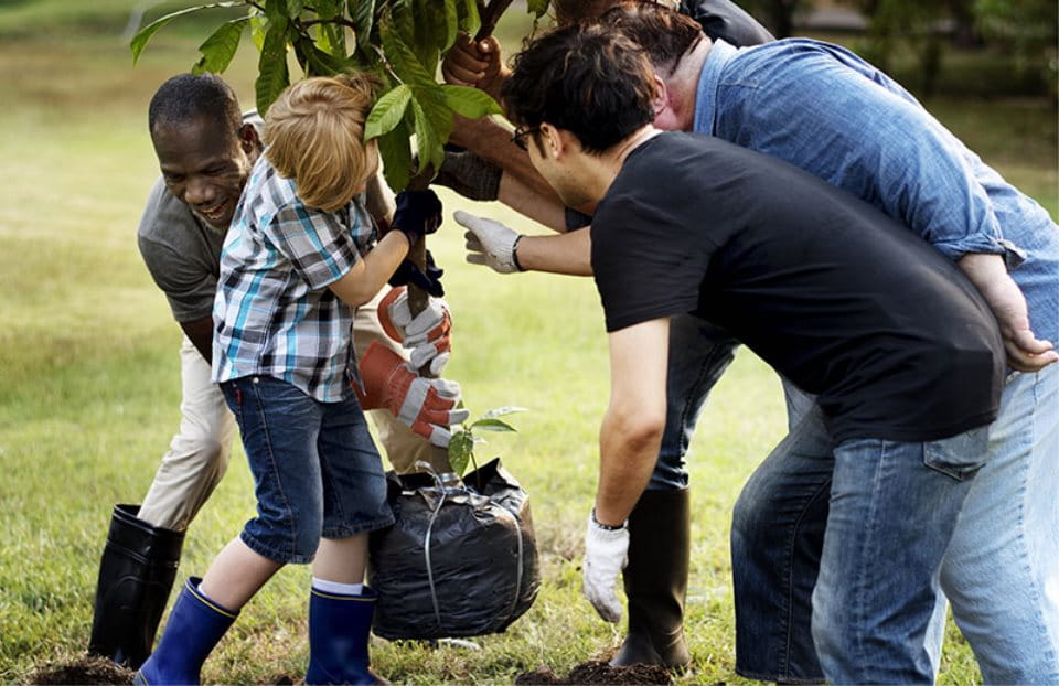 Men from several generations plant a tree together.