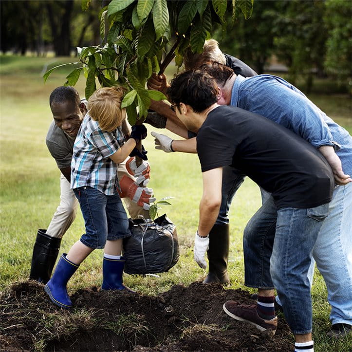 Des hommes de plusieurs générations plantent un arbre ensemble.