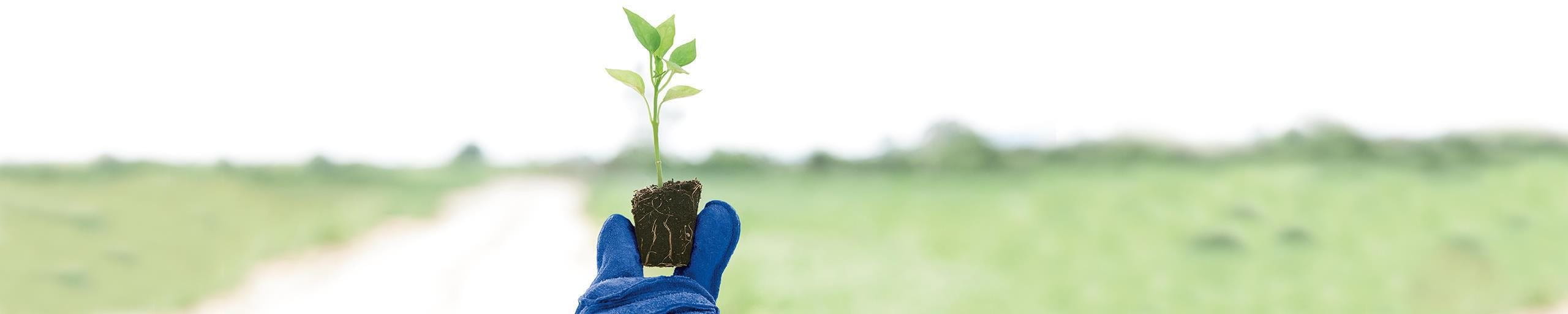 Financial or retirement planning Zurich Switzerland Zurich Switzerland